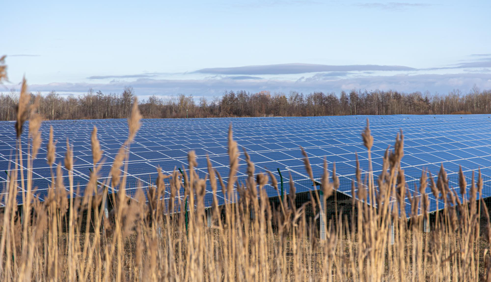 Slewing drive industrial integrado en un seguidor solar para optimizar el movimiento y la durabilidad del sistema fotovoltaico